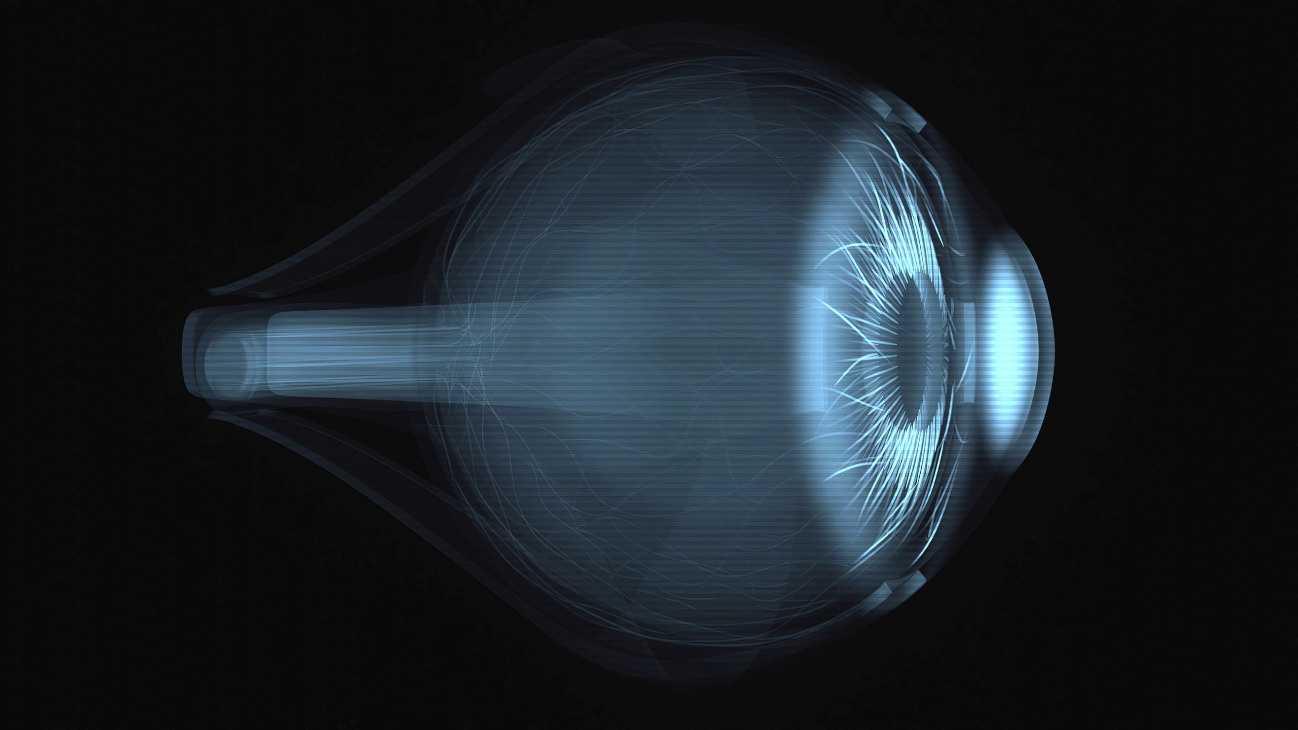 Biometrics and digital identity in Africa