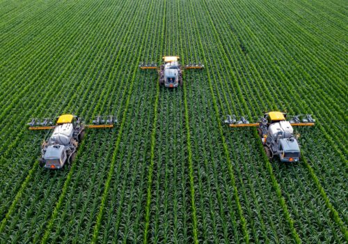 Philanthropy and the future of food security