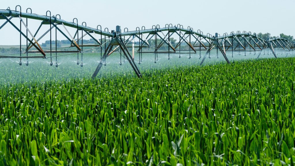 How the US can use its natural gas abundance to ease rising fertilizer prices
