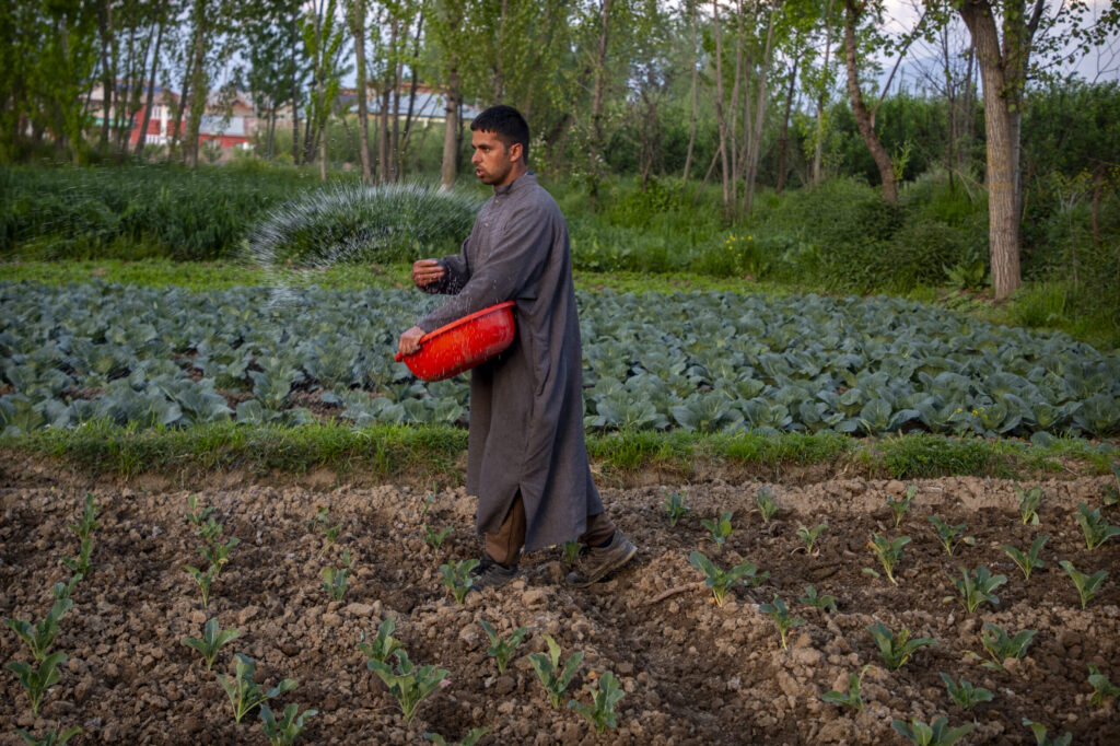Four scenarios for a looming global food crisis