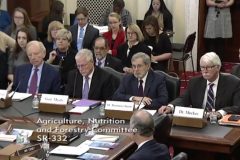 Testimony_to_Senate