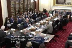 Testimony_to_Senate_Committee